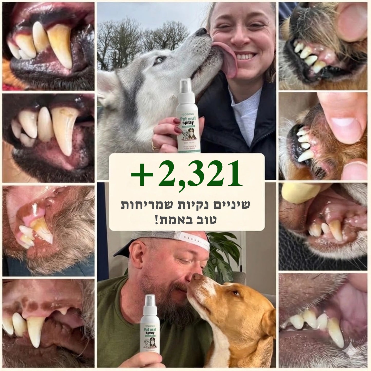 ספריי נגד ריח לכלבים