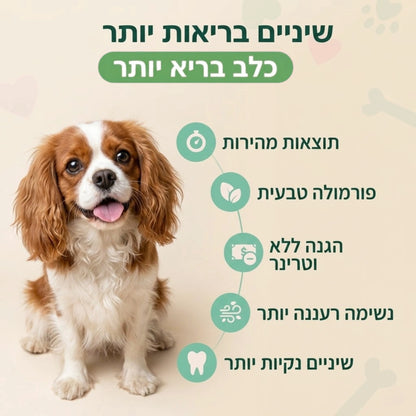ספריי נגד ריח לכלבים
