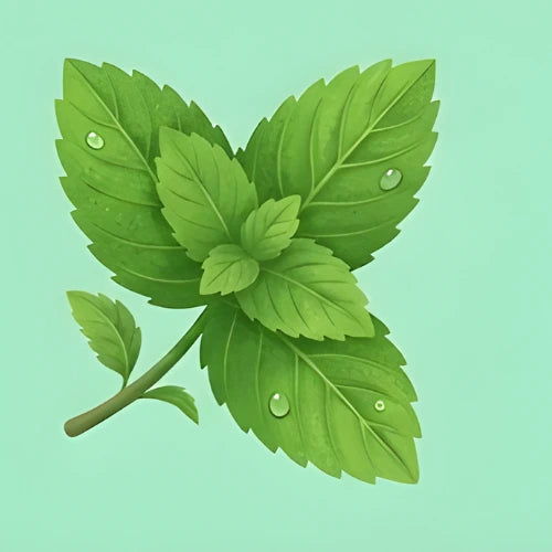 #mint
